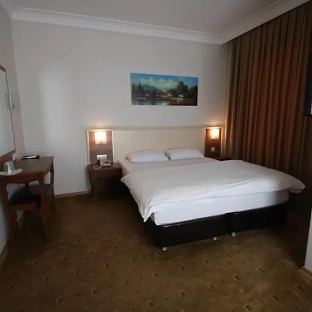 Hotel Antana